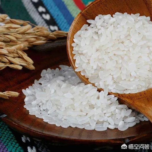 东北为什么产大米