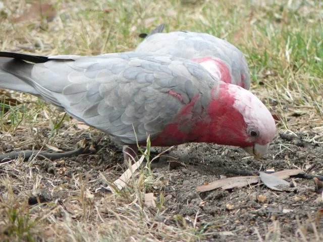 旅行途中你都见过哪些罕见的风景？