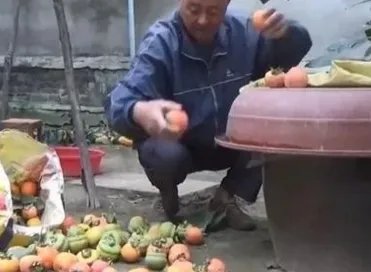 母亲摘140斤柿子送儿子返程，这是一种怎样的母爱？