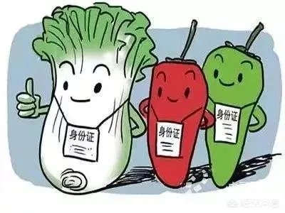 农产品溯源是什么意思？