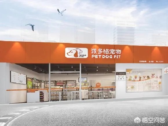 宠物店市场分析及定位怎么做？