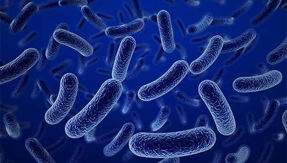 兰州兽研所布病确认阳性3245人 善后处置工作稳步进行