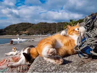 日本著名旅游景点有哪些？