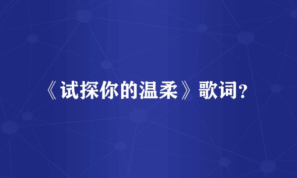 《试探你的温柔》歌词？