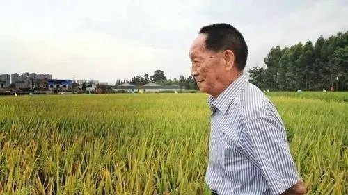 人民日报发文追记袁隆平,人民日报都说了些什么内容?