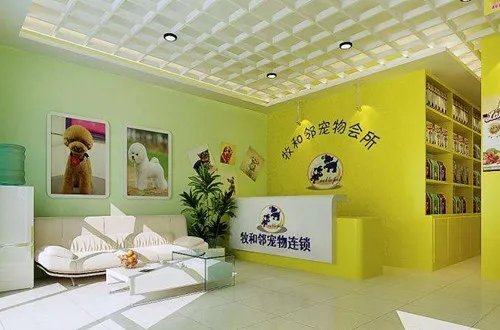 宠物店装修注意事项 宠物宝贝们有话说