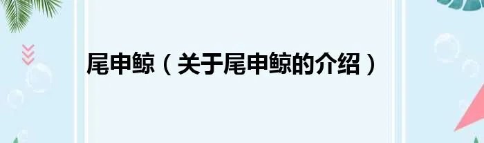尾申鲸（关于尾申鲸的介绍）