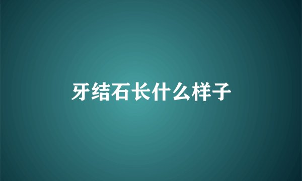 牙结石长什么样子