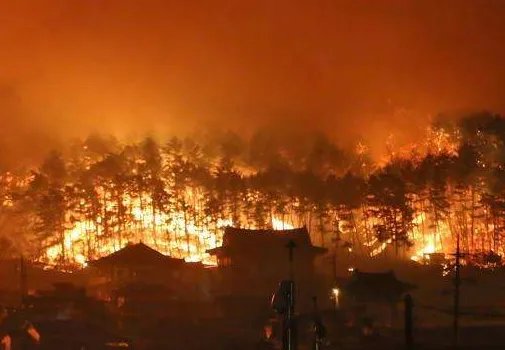 韩国山火蔓延至核电站附近,造成此次火灾的原因是什么?