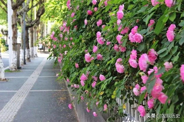 二月二龙抬头有什么美丽诗词？