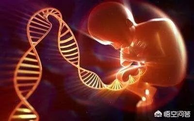 通过美国试管婴儿出生的孩子智商如何？