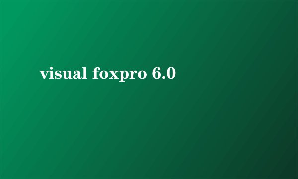 visual foxpro 6.0