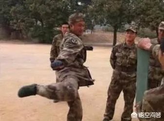 如何评价吴京凭借《战狼2》获得华表奖最佳男演员奖？