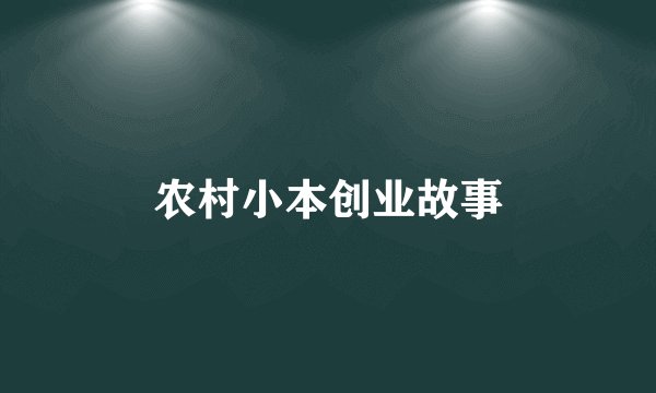农村小本创业故事