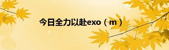 今日全力以赴exo（m）