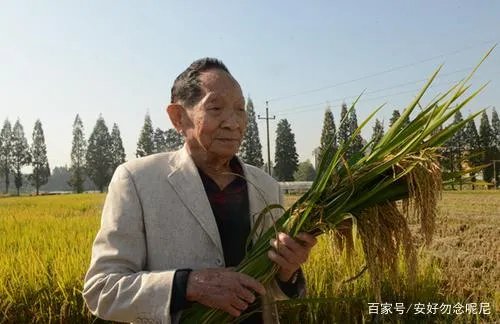袁隆平最后的时光:病危之际,还关心稻子长势,你怎么看?