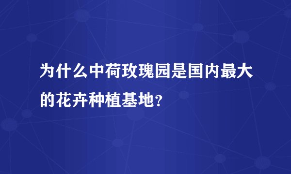 为什么中荷玫瑰园是国内最大的花卉种植基地？