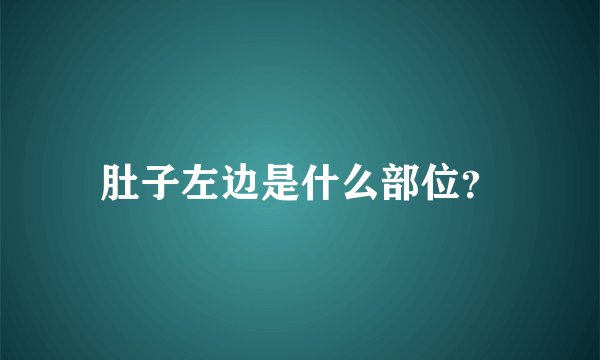 肚子左边是什么部位？