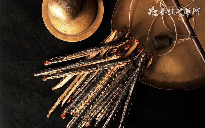 秦岭发现百岁野生猕猴桃树王是真的吗 猕猴桃树普通生长在哪里