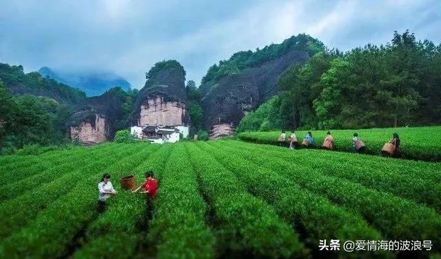 南平市政府搬迁到建阳、建阳房价上涨