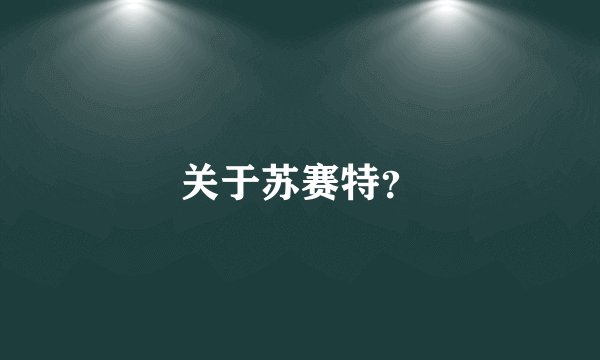 关于苏赛特？