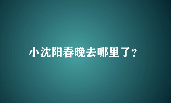 小沈阳春晚去哪里了？