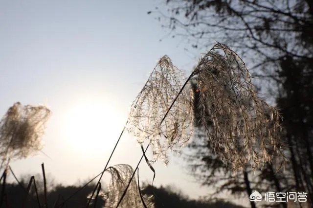 摄影技术提高靠什么，是交流还是看书？