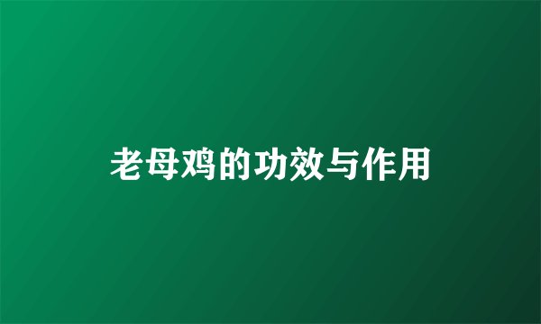 老母鸡的功效与作用