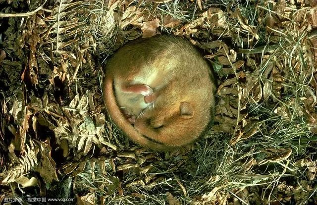 中国首例人体冷冻完成，你怎么看？