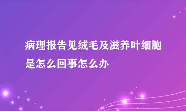 病理报告见绒毛及滋养叶细胞是怎么回事怎么办