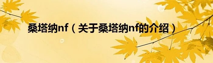桑塔纳nf（关于桑塔纳nf的介绍）