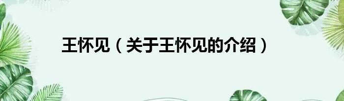 王怀见（关于王怀见的介绍）