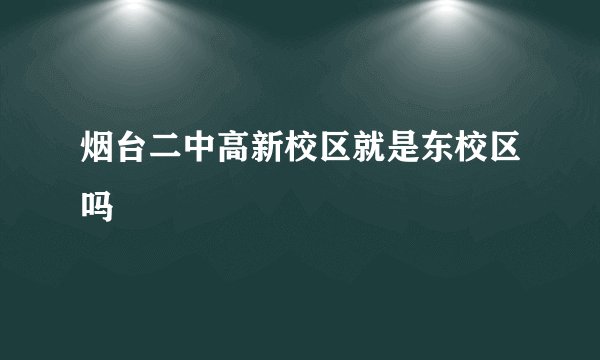 烟台二中高新校区就是东校区吗