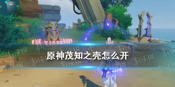 《原神》茂知之壳怎么开 茂知之壳秘境解锁攻略