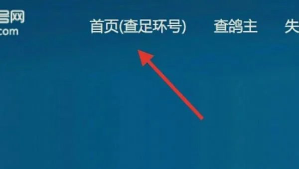 免费查询信鸽足环号