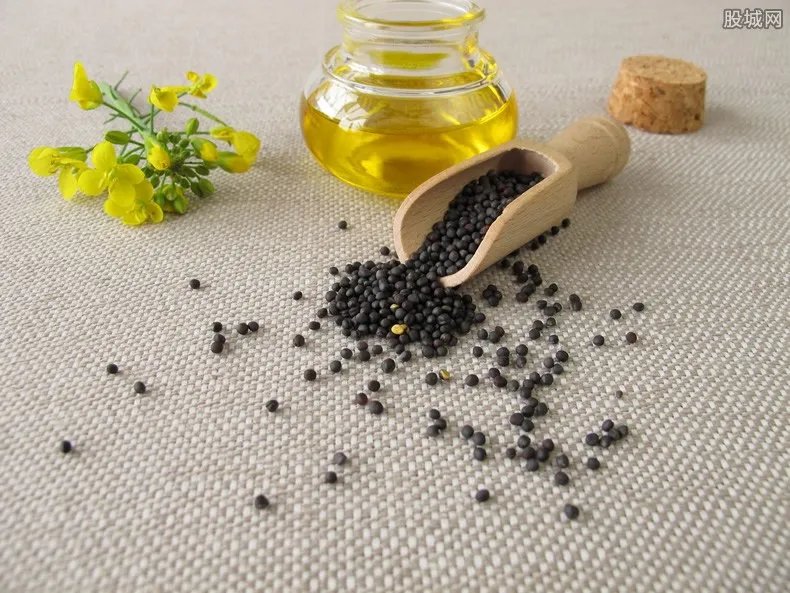 油菜籽多少钱一斤 最新价格行情走势