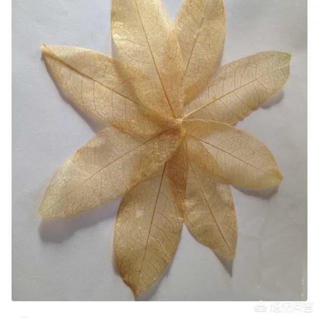 纯天然手工皂哪个牌子好？