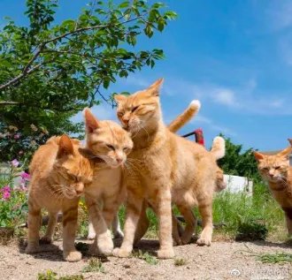 日本著名旅游景点有哪些？