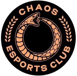 《DOTA2》Chaos战队介绍