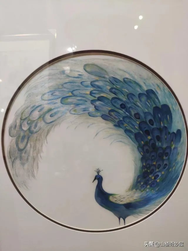 旅行途中你都见过哪些罕见的风景？