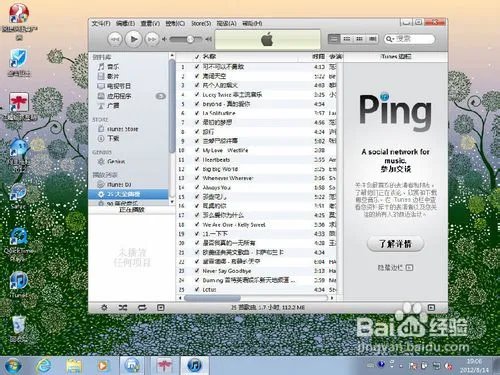 怎么修复白苹果