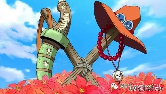 如何评价海贼王漫画第983话？