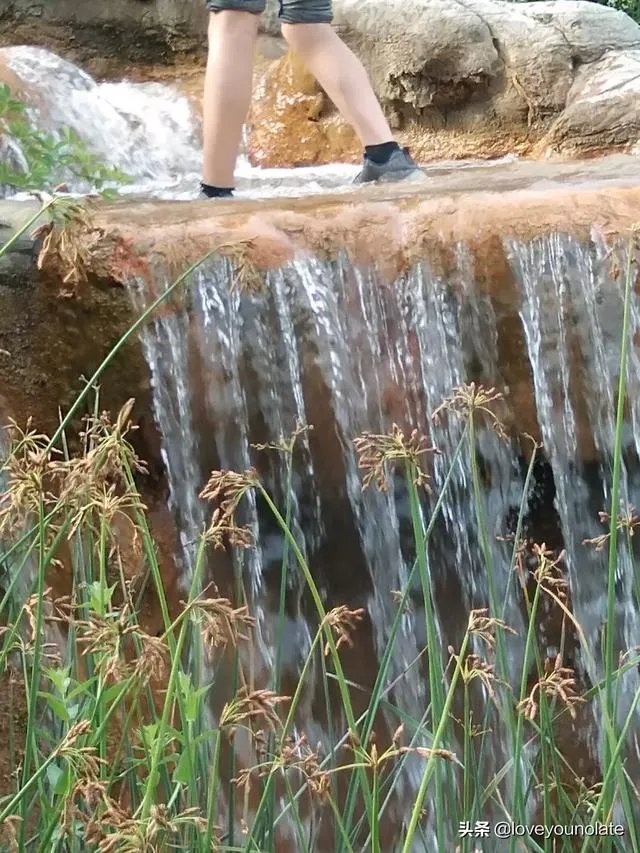 在家呆着好无聊昂，做些什么可以让一个人变得充实些？