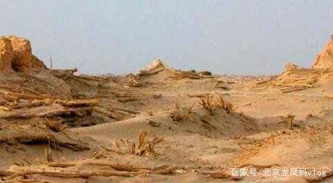 罗布泊的地下洞穴，为何会出现很多大型的吃人蜥蜴呢？