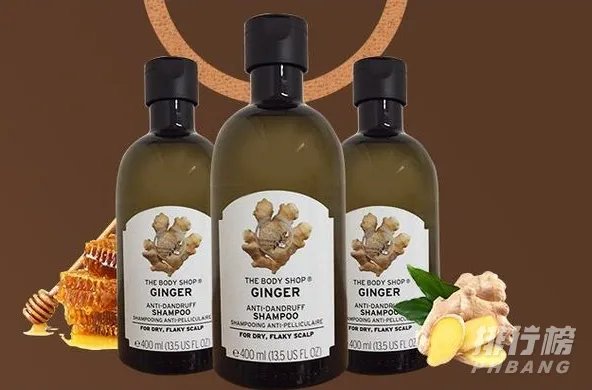 世界洗发水十大品牌_全球口碑最好的洗发水