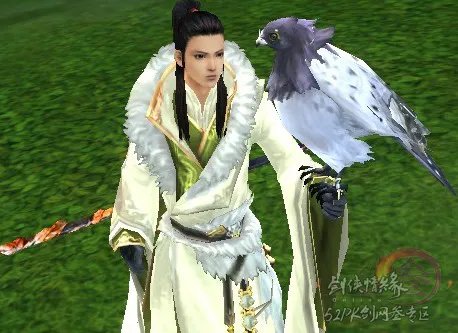 剑网3丐帮宠物隼五种外观游戏实景截图整理