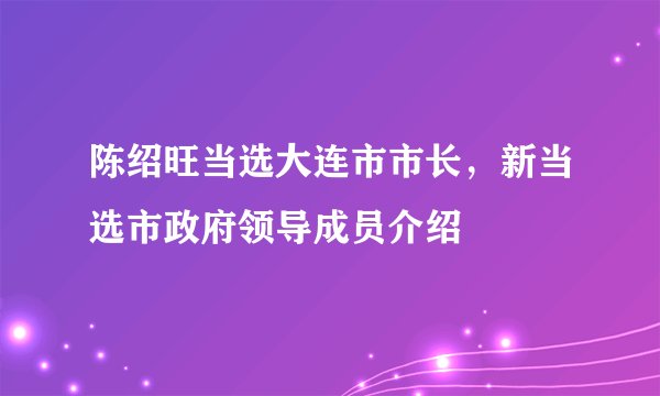 陈绍旺当选大连市市长，新当选市政府领导成员介绍