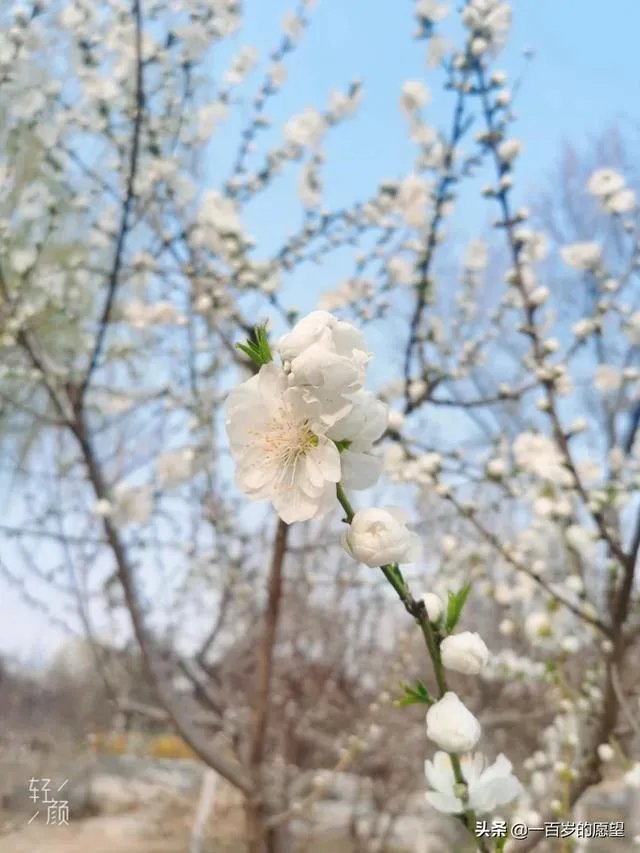 收费邮箱和免费邮箱