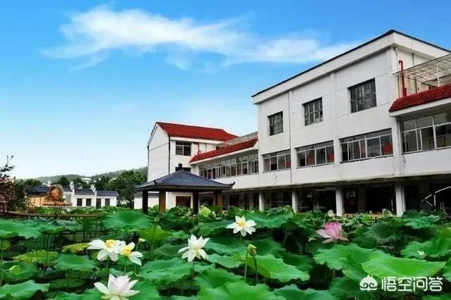 如何看待旅居养老？