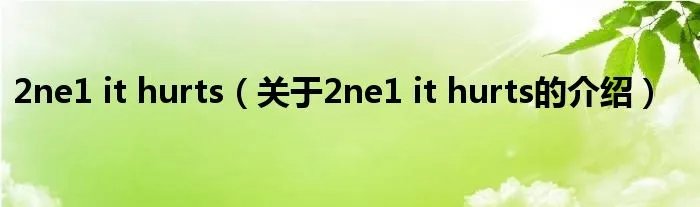 2ne1 it hurts（关于2ne1 it hurts的介绍）